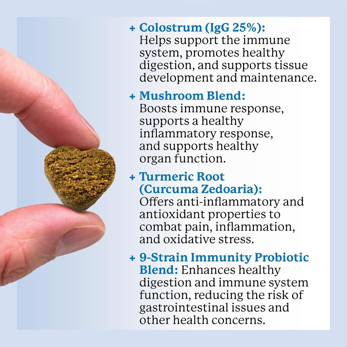 DR. HARVEY'S - Dr. Harvey's Dog Allergy & Anti-Itch Relief Soft Chew 90 Masticables - The Red Vitamin MX - Suplementos Herbales Para Perros - {{ shop.shopifyCountryName }}