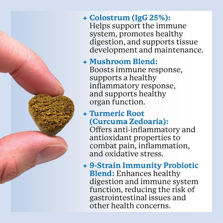 DR. HARVEY'S - Dr. Harvey's Dog Allergy & Anti-Itch Relief Soft Chew 90 Masticables - The Red Vitamin MX - Suplementos Herbales Para Perros - {{ shop.shopifyCountryName }}