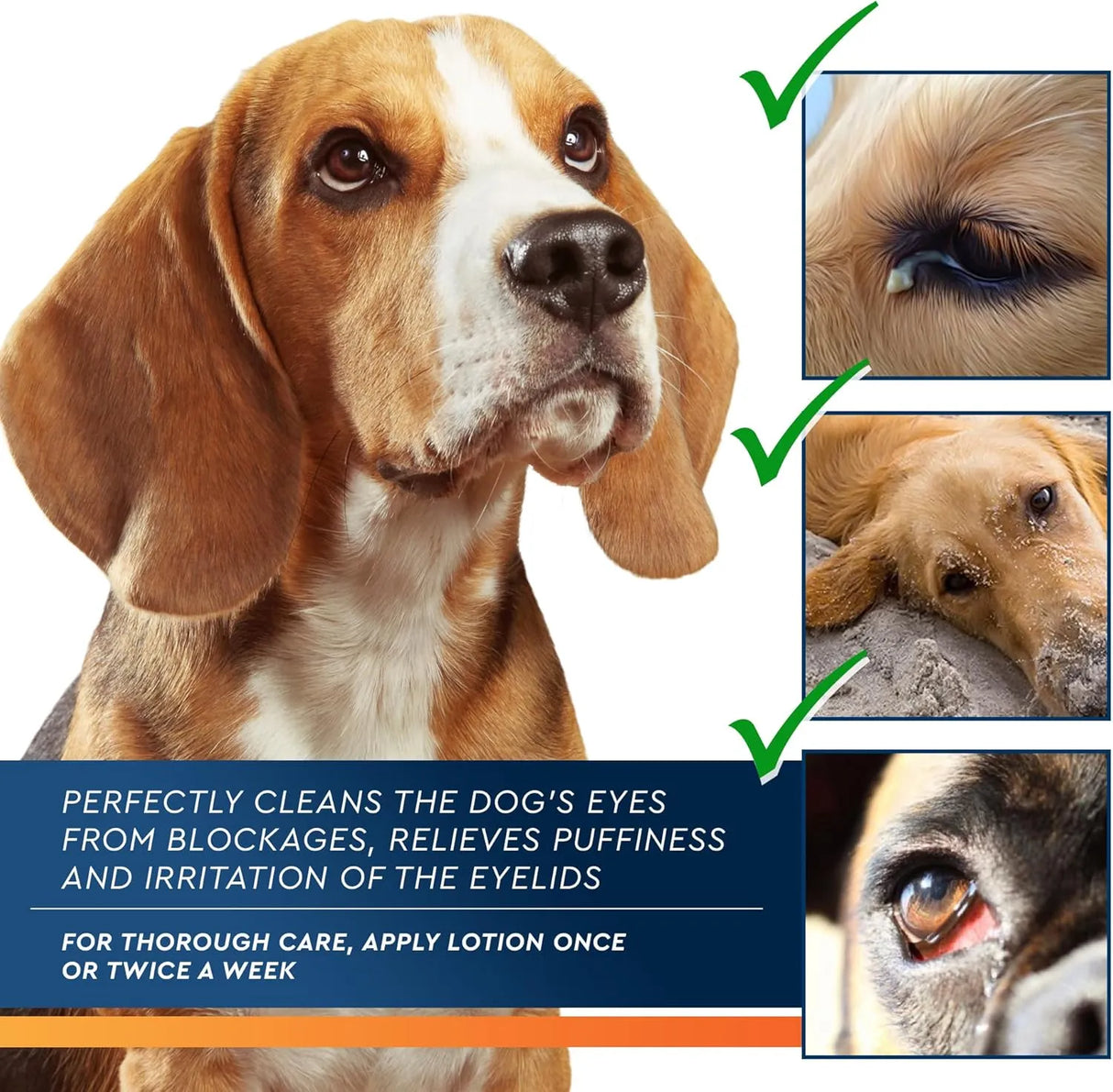 BELOVED PETS - Beloved Pets All Pets Eye Wash Drops 100Ml. - The Red Vitamin MX - Cuidado De Los Ojos De Los Perros - {{ shop.shopifyCountryName }}