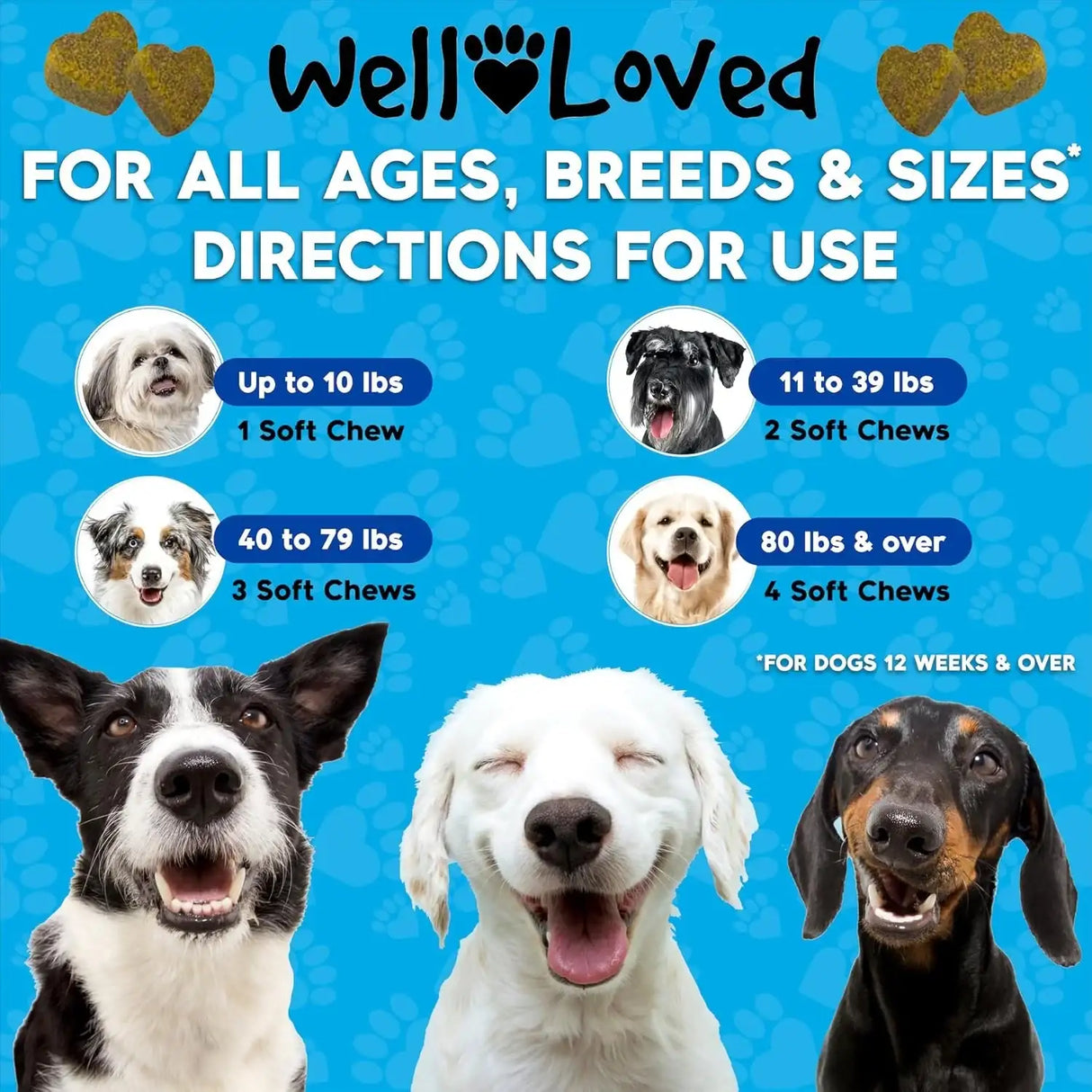 WELL LOVED - Well Loved Hip and Joint Chews with MSM 120 Masticables - The Red Vitamin MX - Cuidado De Cadera Y Articulaciones Para Perros - {{ shop.shopifyCountryName }}