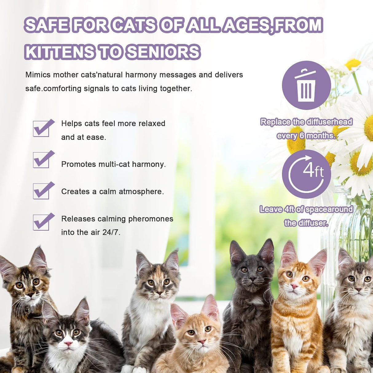 Budobiruon Cat Calming Diffuser