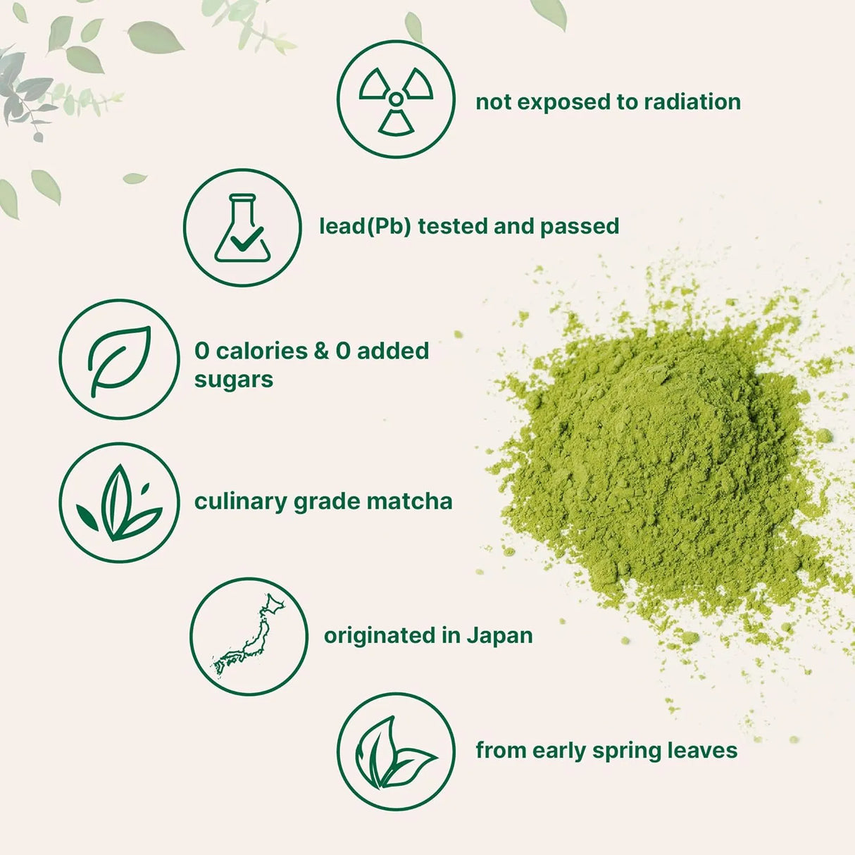 MICRO INGREDIENTS - Micro Ingredients Organic Matcha Green Tea Powder 907Gr. - The Red Vitamin MX - Suplementos Alimenticios - {{ shop.shopifyCountryName }}