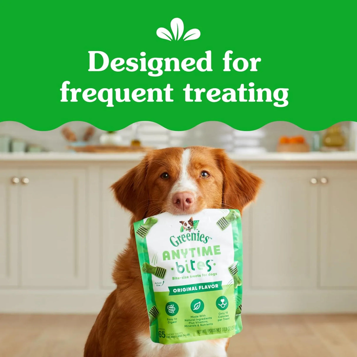 GREENIES - Greenies Anytime Bites Dog Treats Mint Flavor 680Gr. - The Red Vitamin MX - Cuidado Dental Para Perros - {{ shop.shopifyCountryName }}