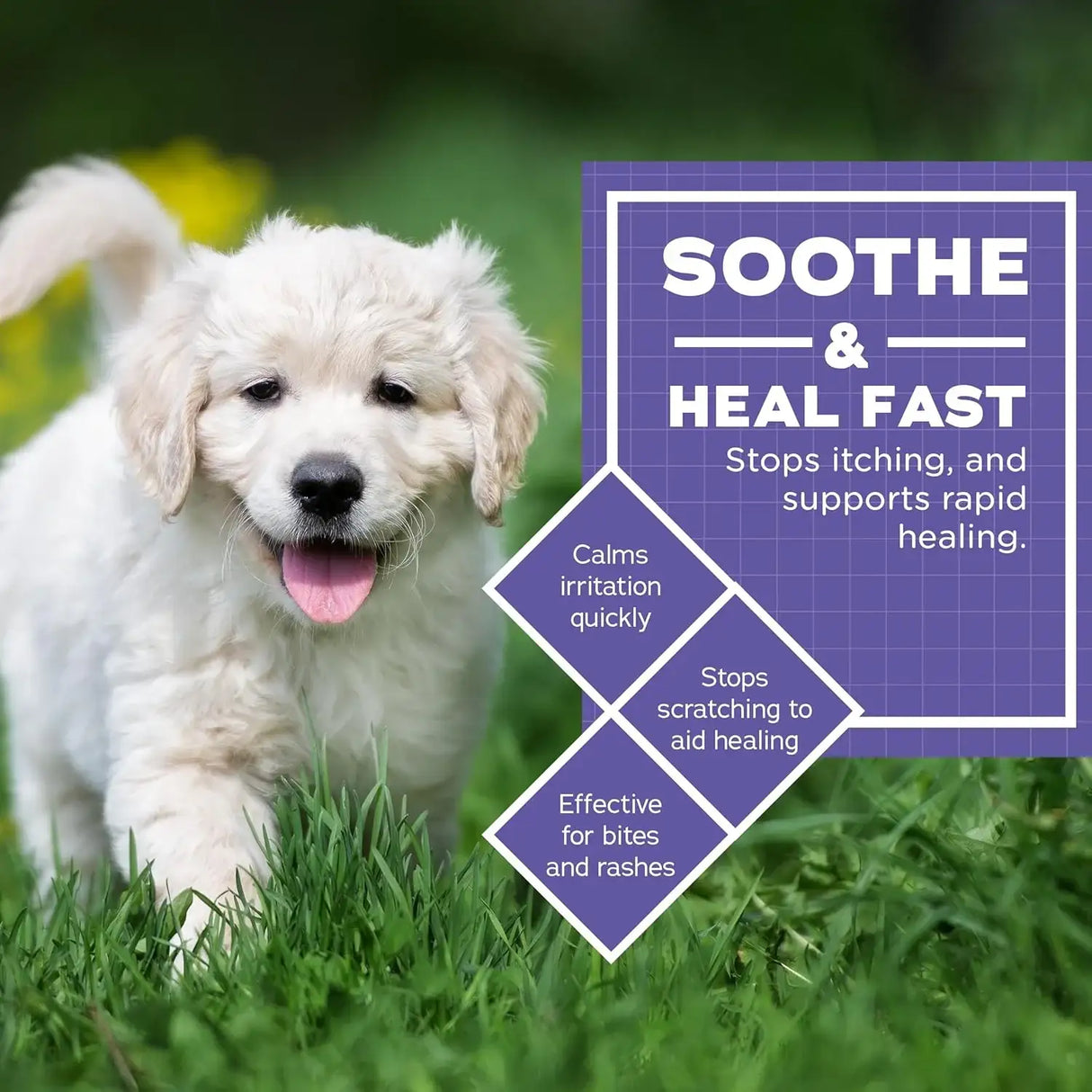 VETWELL - VetWELL Hydrocortisone Spray for Dogs & Cats 4 Fl.Oz. - The Red Vitamin MX - Remedios Para La Picazón De Perros - {{ shop.shopifyCountryName }}