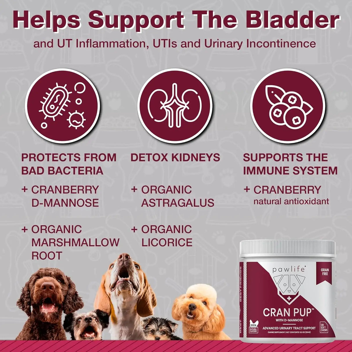 PAWLIFE - Pawlife Cranberry Supplements for Dogs 120 Masticables - The Red Vitamin MX - Salud De Tracto Urinario Para Perros - {{ shop.shopifyCountryName }}