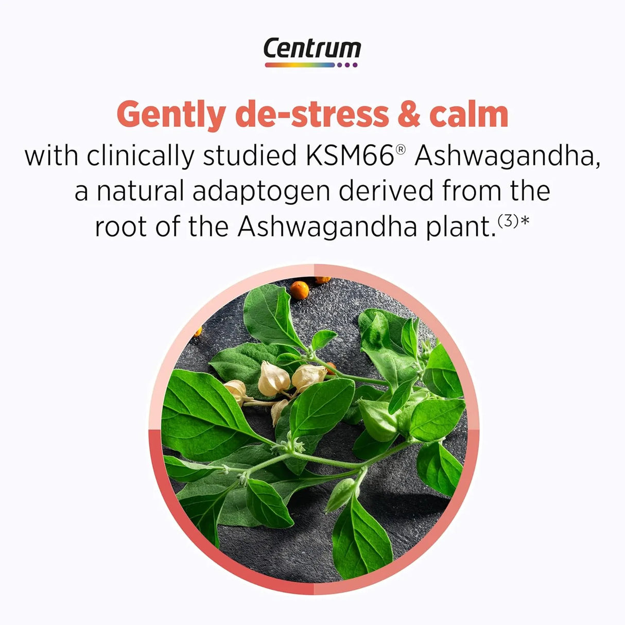 CENTRUM - Centrum Clear Mind and Calm Mood Menopause Support 30 Tabletas - The Red Vitamin MX - Suplementos Alimenticios - {{ shop.shopifyCountryName }}