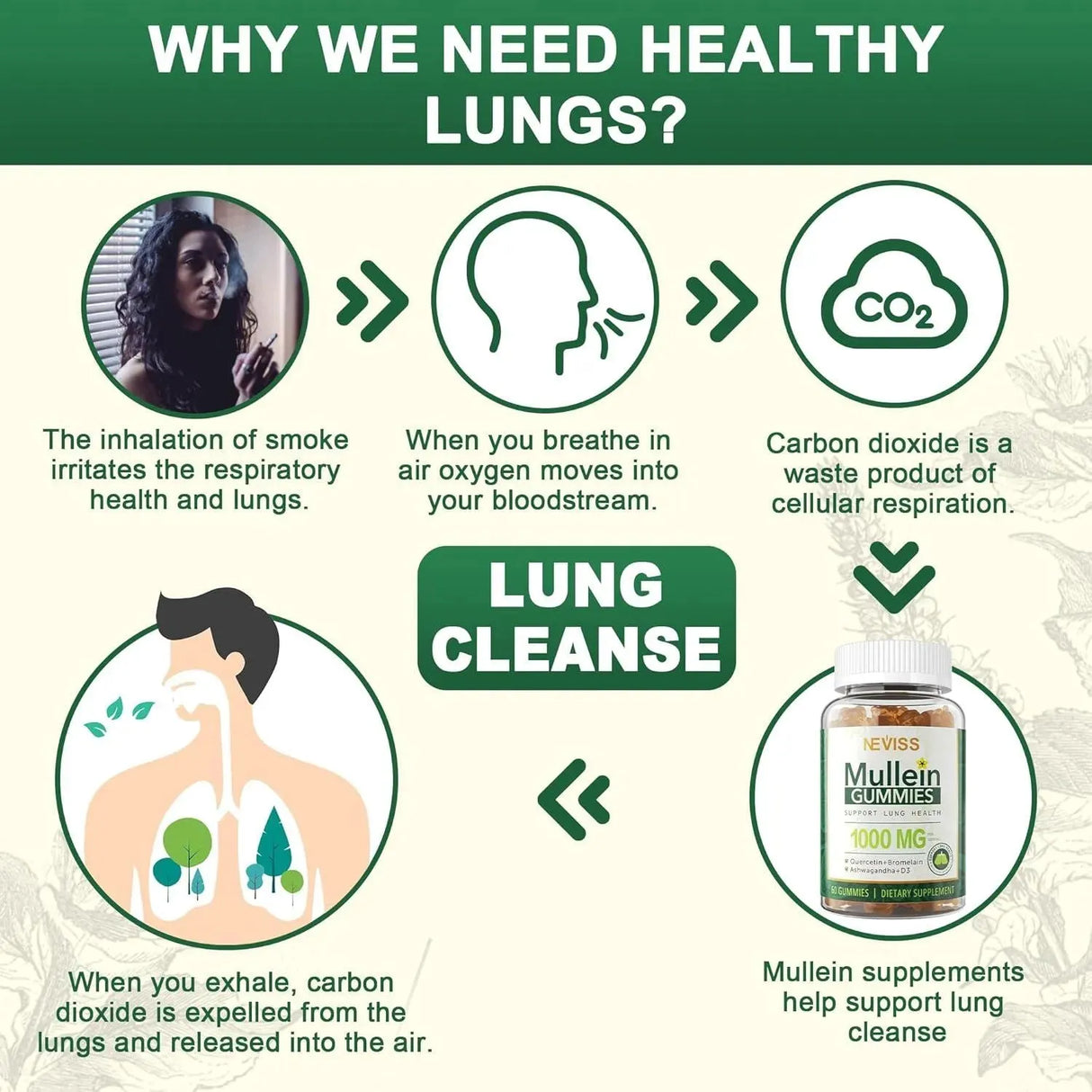 NEVISS - NEVISS Mullein Leaf Extract for Lungs 60 Gomitas - The Red Vitamin MX - Suplementos Alimenticios - {{ shop.shopifyCountryName }}