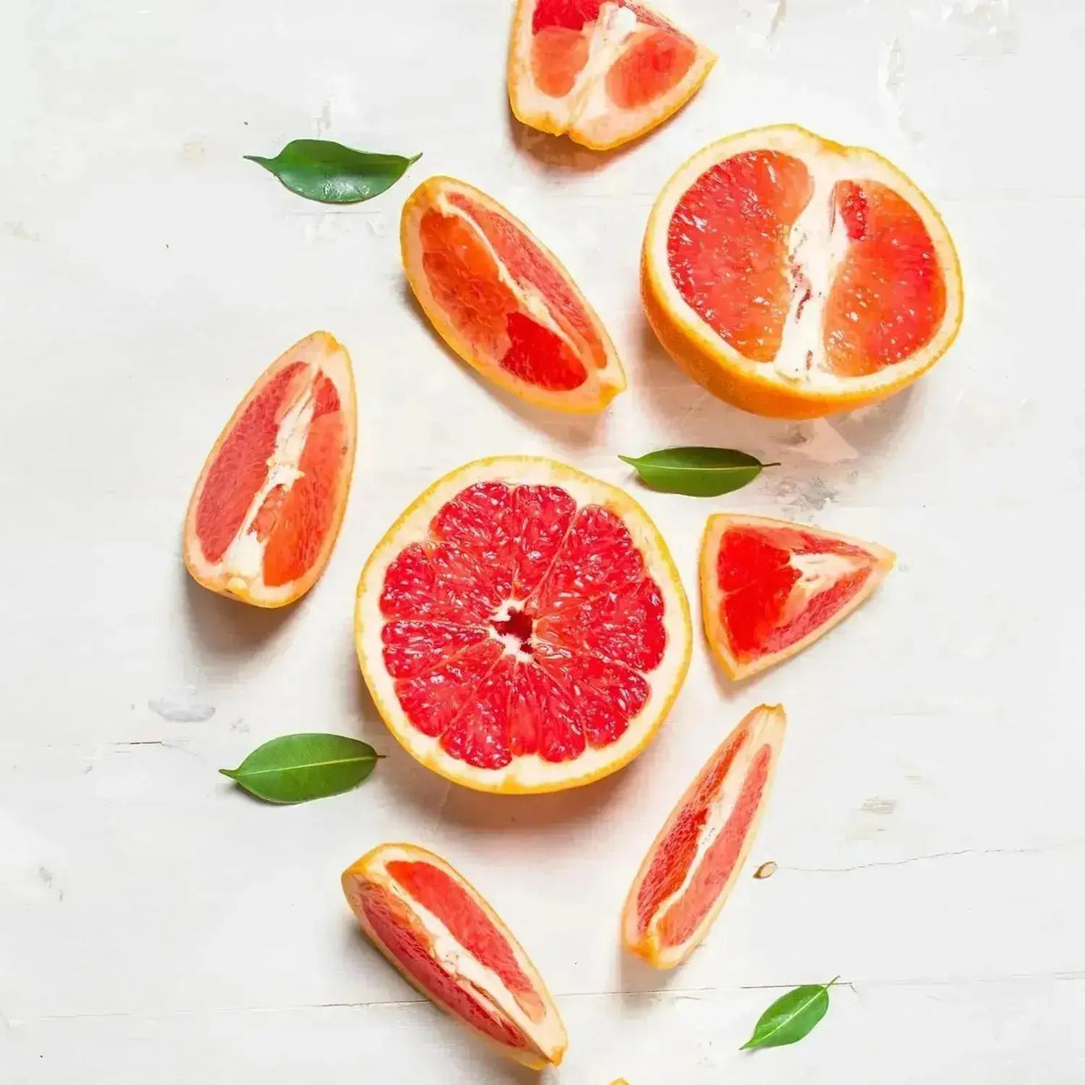 EARTHBORN ELEMENTS - Earthborn Elements Grapefruit Seed Extract 200 Capsulas - The Red Vitamin MX - Suplementos Alimenticios - {{ shop.shopifyCountryName }}