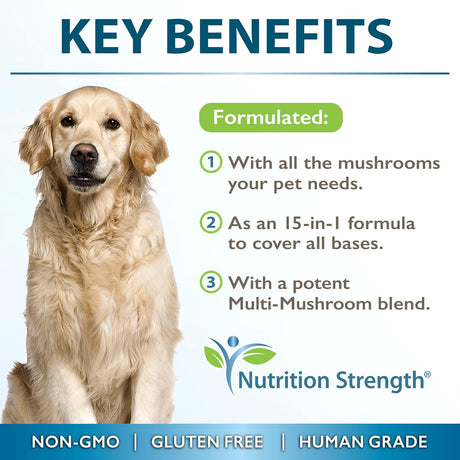 NUTRITION STRENGTH - Nutrition Strength 15-in-1 Mushrooms for Dogs 90 Tabletas - The Red Vitamin MX - Suplementos Herbales Para Perros - {{ shop.shopifyCountryName }}