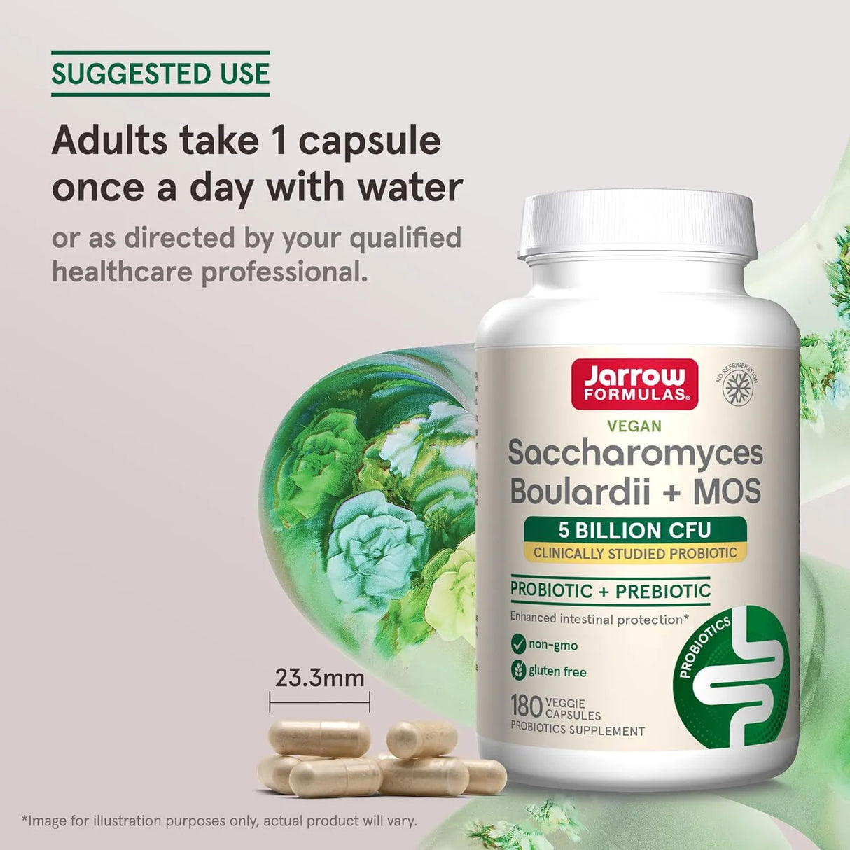 JARROW FORMULAS - Jarrow Formulas Saccharomyces Boulardii Probiotics + MOS 5 Billion CFU 180 Capsulas - The Red Vitamin MX - Suplementos Alimenticios - {{ shop.shopifyCountryName }}