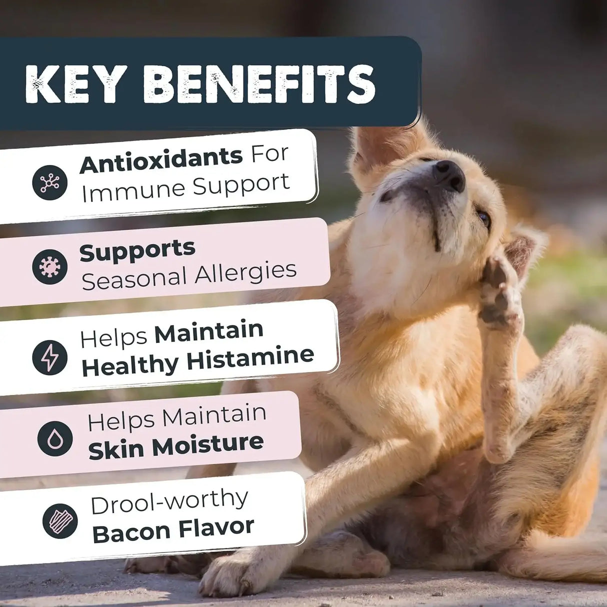 MIGHTY PAW - Mighty Paw Waggables Allergy Immune + Itch 120 Masticables 2 Pack - The Red Vitamin MX - Remedios Para La Picazón De Perros - {{ shop.shopifyCountryName }}