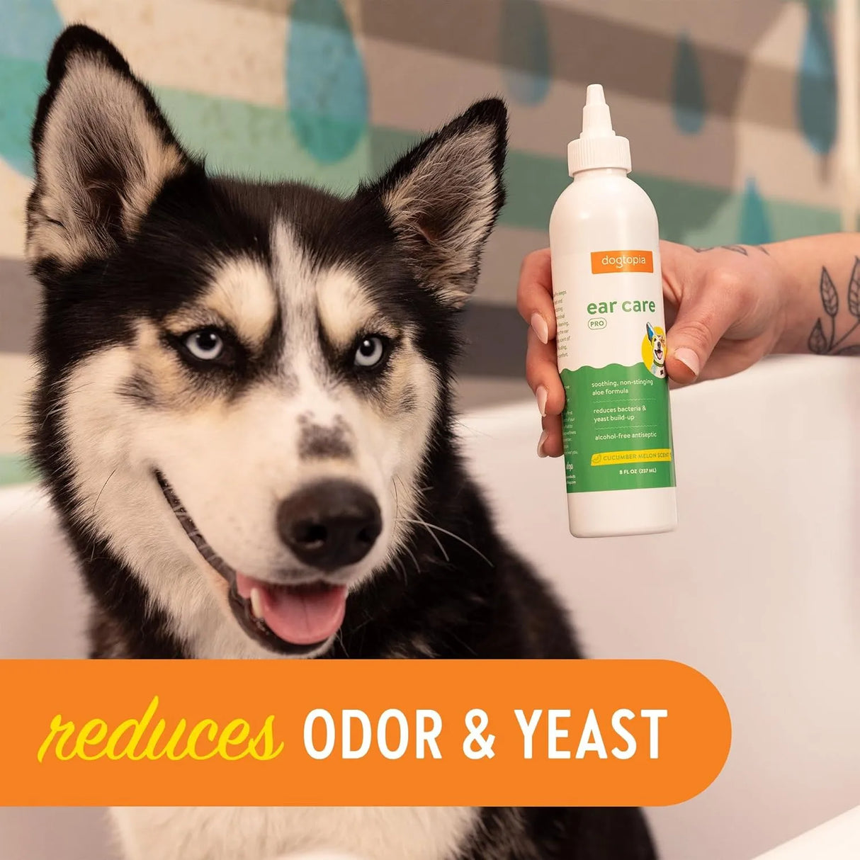 DOGTOPIA - Dogtopia Ear Care Pro Solution for Dogs 8 Fl.Oz. - The Red Vitamin MX - Cuidado Del Oído De Perros - {{ shop.shopifyCountryName }}