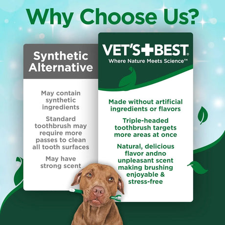 VET'S BEST - Vet's Best Dog Toothpaste & Dog Toothbrush Dental Kit - The Red Vitamin MX - Cuidado Dental Para Perros - {{ shop.shopifyCountryName }}