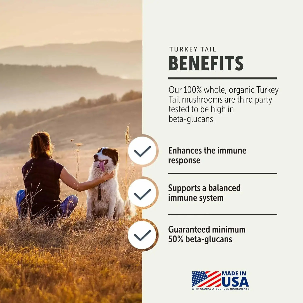 FOUR LEAF ROVER - FOUR LEAF ROVER Turkey Tail Mushroom for Dogs 28Gr. - The Red Vitamin MX - Suplementos Herbales Para Perros - {{ shop.shopifyCountryName }}