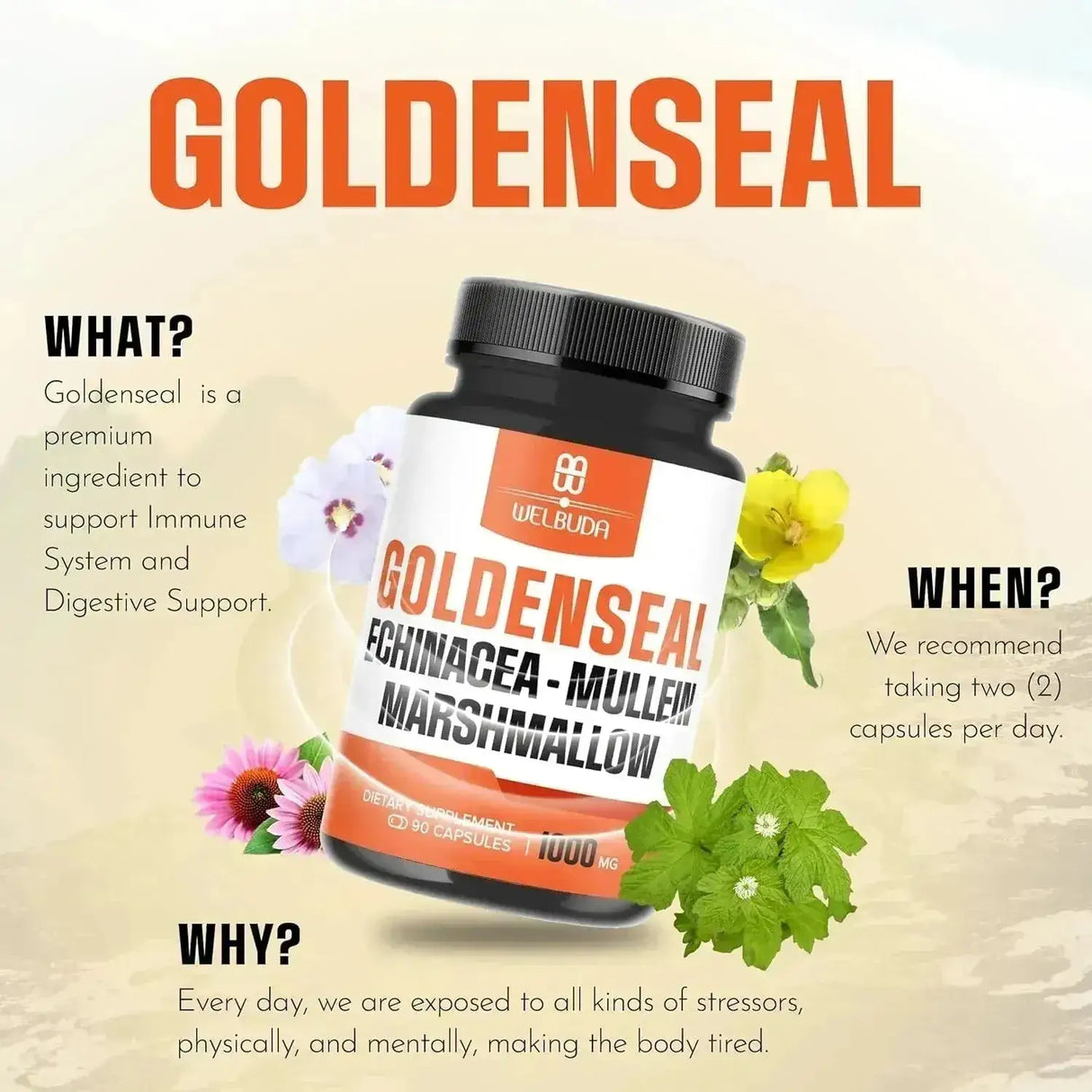 WELBUDA - WELBUDA Goldenseal Root Extract 10:1 with Echinacea, Mullein Leaf, Marshmallow 90 Capsulas - The Red Vitamin MX - Suplementos Alimenticios - {{ shop.shopifyCountryName }}