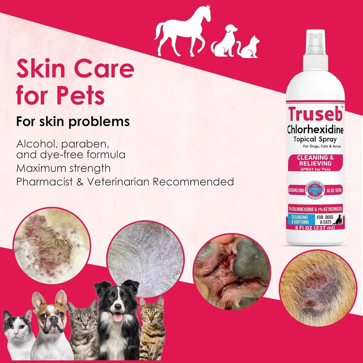 TRUSEB - Truseb Topical Ketoconazole and Chlorhexidine Spray for Dogs 8 Fl.Oz. - The Red Vitamin MX - Remedios Para La Picazón De Perros - {{ shop.shopifyCountryName }}