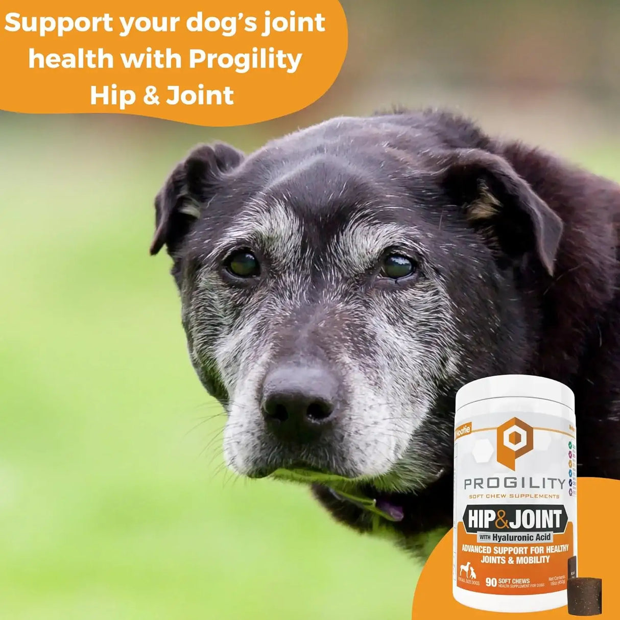 NOOTIE - Nootie Progility Hip & Joint Supplement for Dogs 90 Masticables - The Red Vitamin MX - Cuidado De Cadera Y Articulaciones Para Perros - {{ shop.shopifyCountryName }}