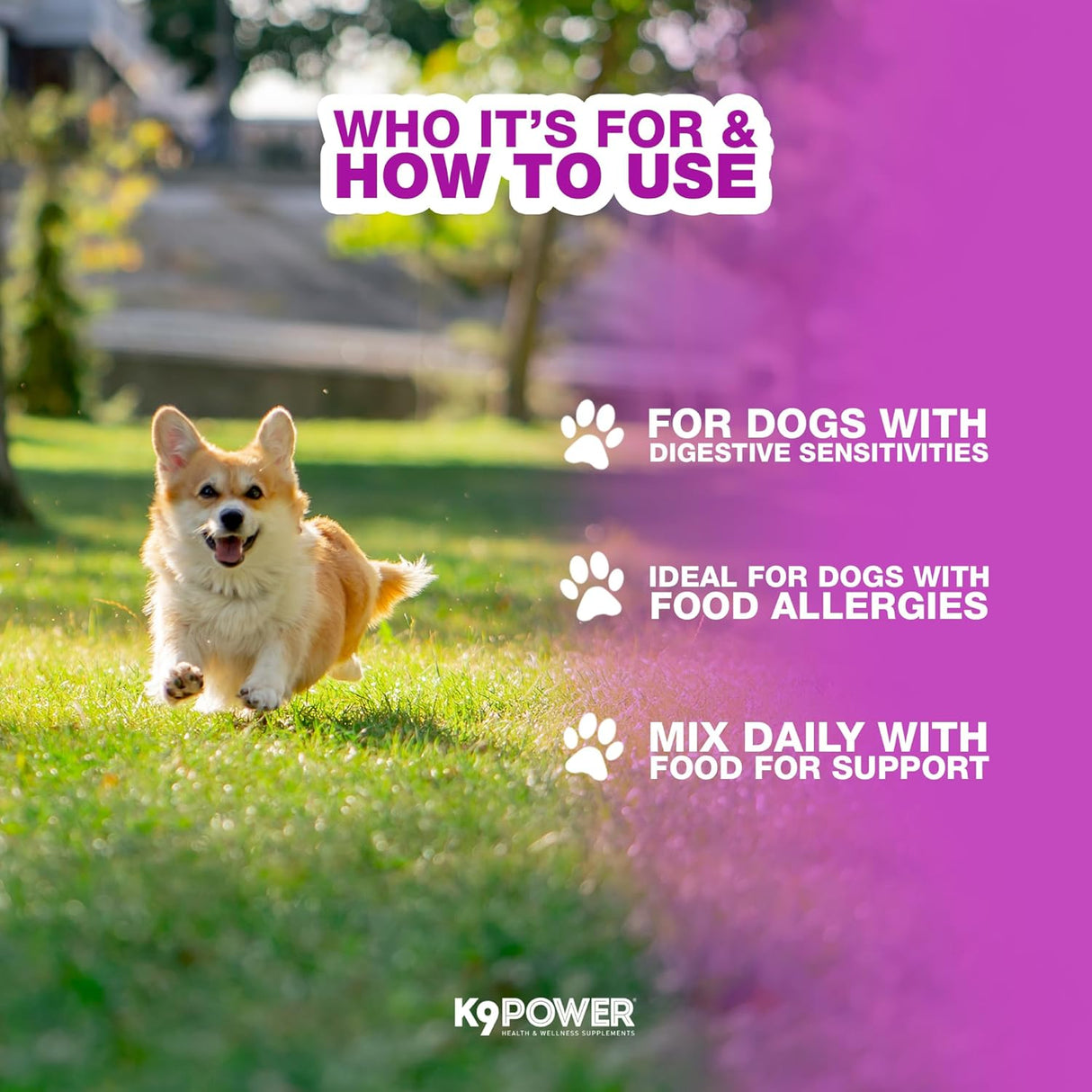 K9 Power Digest Forte for Dogs 454Gr. 2 Pack