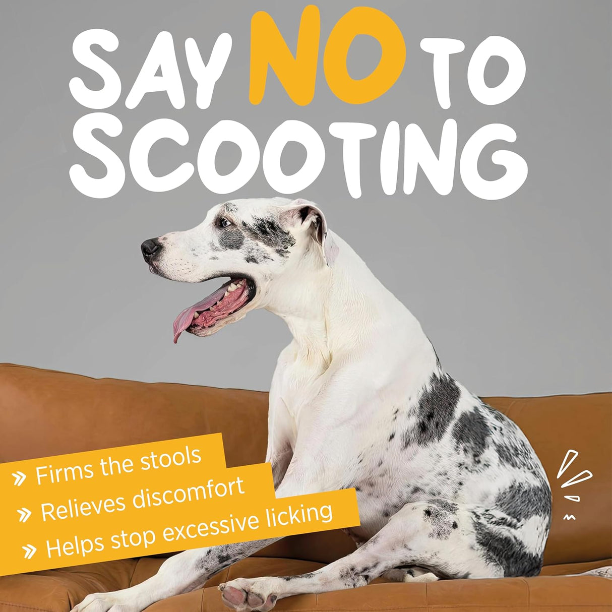 maxxipaws maxxiscoot Anal Gland & Digestive Health Support for Dogs 140Gr.