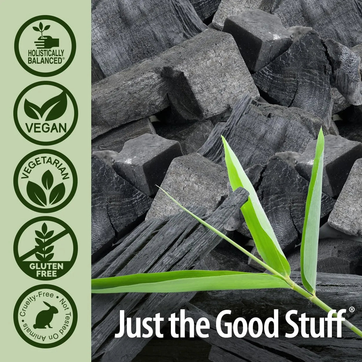 NATURE´S ANSWER - Nature's Answer Activated Charcoal 560Mg. 90 Capsulas - The Red Vitamin MX - Suplementos Alimenticios - {{ shop.shopifyCountryName }}