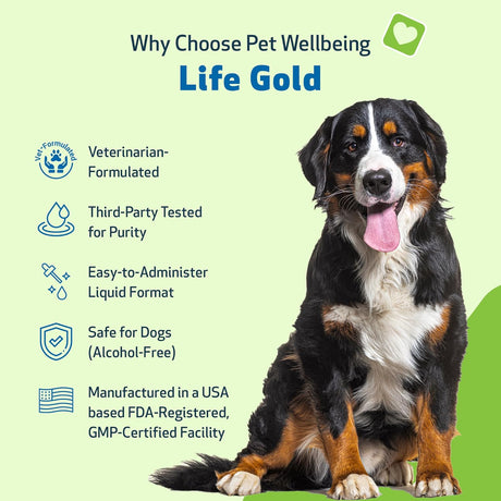 PET WELLBEING - Pet Wellbeing Life Gold for Dogs 4 Fl.Oz. - The Red Vitamin MX - Suplementos Herbales Para Perros - {{ shop.shopifyCountryName }}
