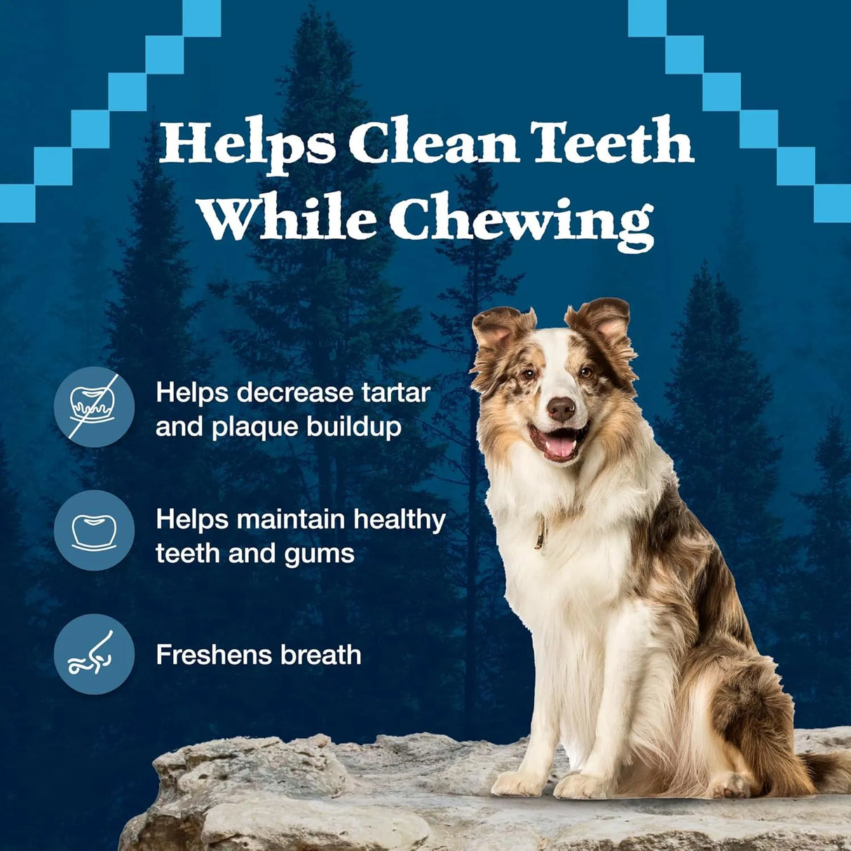 BLUE BUFFALO - Blue Buffalo Wilderness Trail Treats Wild Bones Large Dental Chews 760Gr. - The Red Vitamin MX - Cuidado Dental Para Perros - {{ shop.shopifyCountryName }}