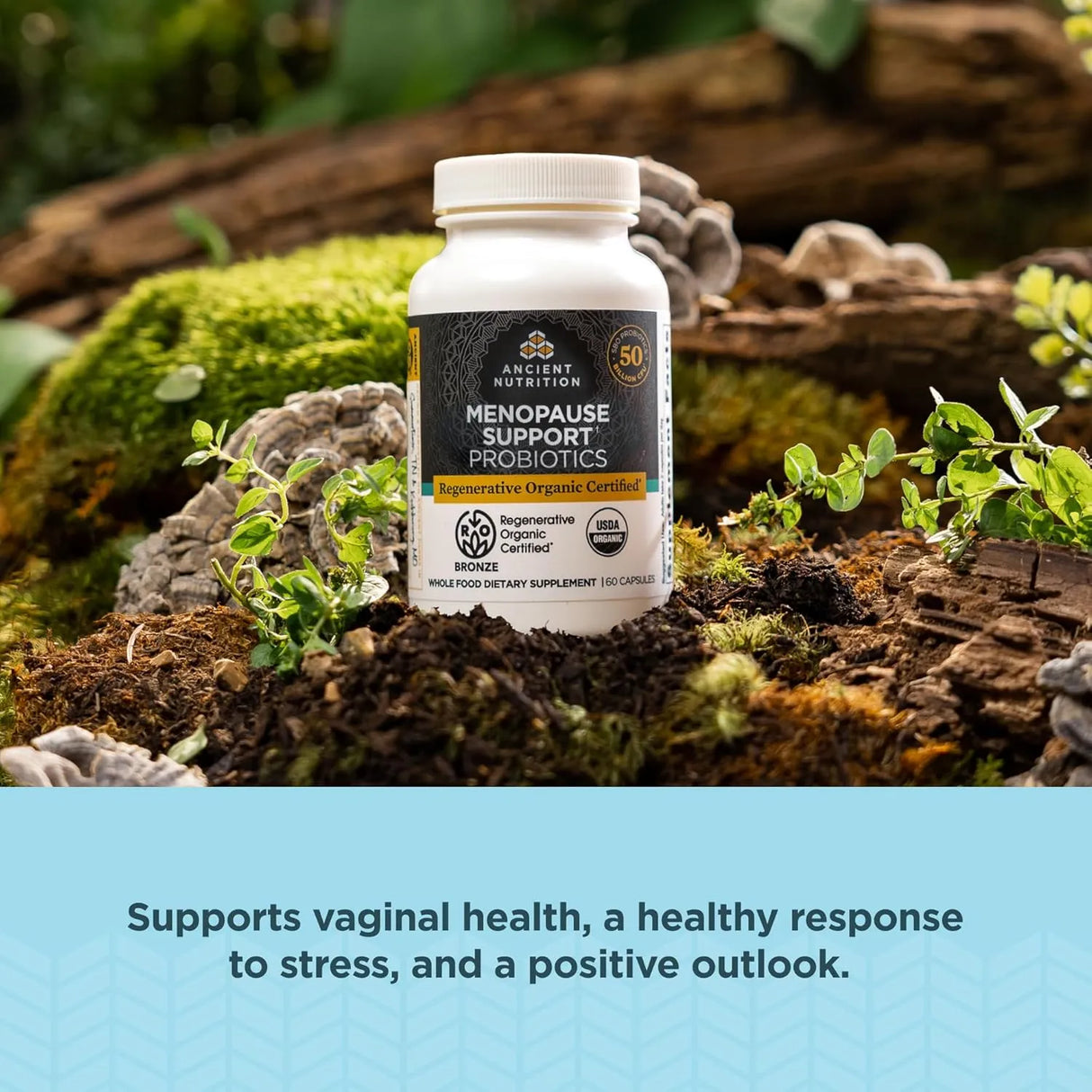 ANCIENT NUTRITION - Ancient Nutrition Regenerative Organic Certified Probiotics for Menopause Support 60 Capsulas - The Red Vitamin MX - Suplementos Alimenticios - {{ shop.shopifyCountryName }}