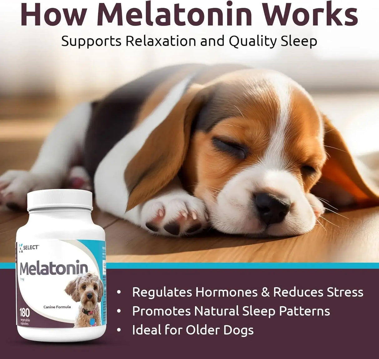 K9 SELECT - K9 Select Melatonin for Small Dogs Unflavored 1Mg. 180 Capsulas - The Red Vitamin MX - Relajantes Para Perros - {{ shop.shopifyCountryName }}