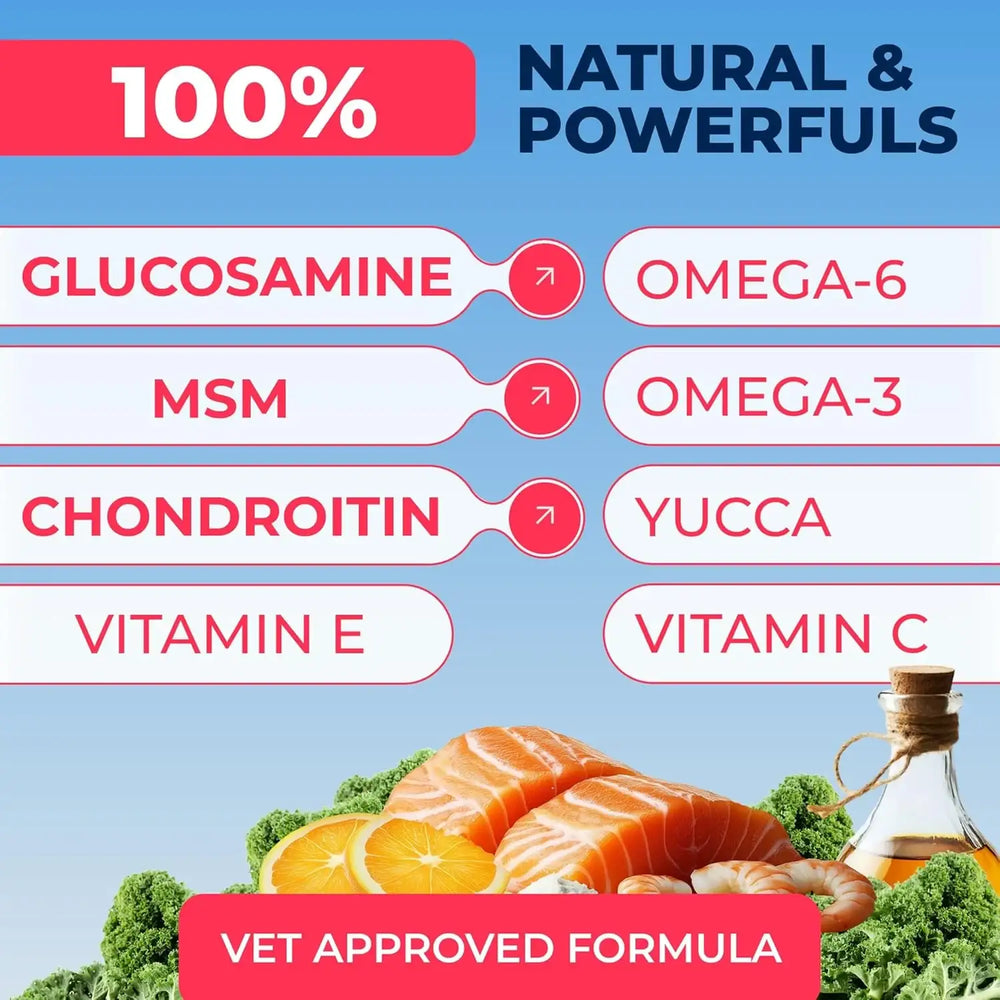 PAWFECT - Pawfect Mobility Glucosamine Chews for Dogs 120 Masticables - The Red Vitamin MX - Cuidado De Cadera Y Articulaciones Para Perros - {{ shop.shopifyCountryName }}