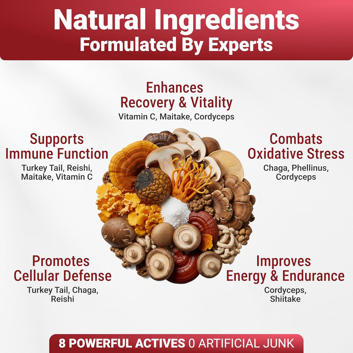 WUFFWELL - WuffWell Seven Mushrooms Powder with Vitamin C 30 Servicios 54Gr. - The Red Vitamin MX - Suplementos Herbales Para Perros - {{ shop.shopifyCountryName }}