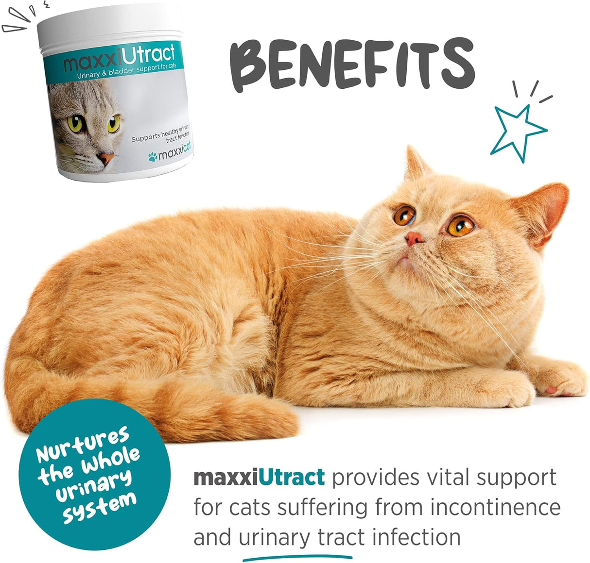 maxxipaws maxxiUtract Urinary & Bladder Support Powder 2.1 Oz.