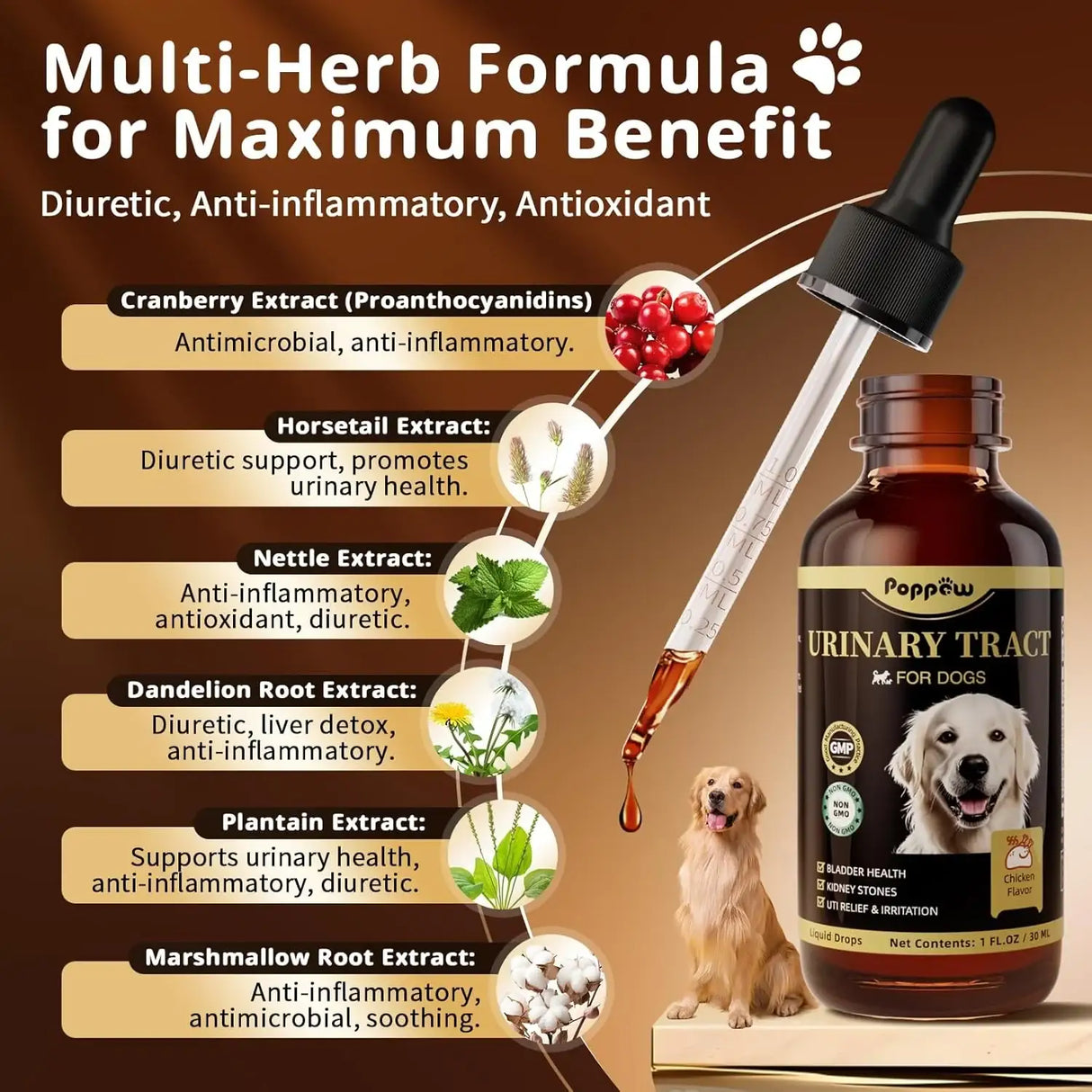 POPPAW - POPPAW Dog UTI Treatment & Urinary Tract Support CHICKEN Flavor 2 Fl.Oz. 2 Pack - The Red Vitamin MX - Salud De Tracto Urinario Para Perros - {{ shop.shopifyCountryName }}