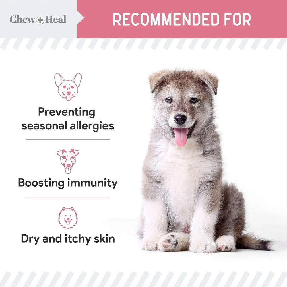CHEW + HEAL - Chew + Heal Labs Dog Allergy Chews 90 Masticables - The Red Vitamin MX - Remedios Para La Picazón De Perros - {{ shop.shopifyCountryName }}
