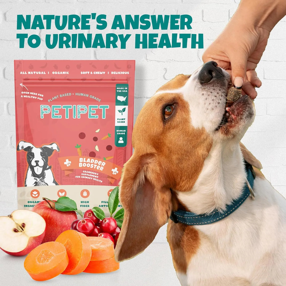 PETIPET - PETIPET Bladder Booster Cranberry Supplement for Dogs 200Gr. - The Red Vitamin MX - Salud De Tracto Urinario Para Perros - {{ shop.shopifyCountryName }}