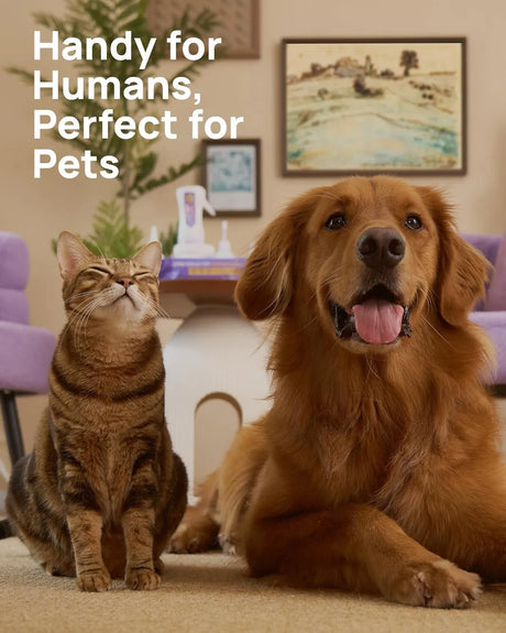 HICC PET - HICC PET Eyes Wipes for Dogs & Cats Coconut Scent 100 Toallitas 2 Pack - The Red Vitamin MX - Cuidado De Los Ojos De Los Perros - {{ shop.shopifyCountryName }}