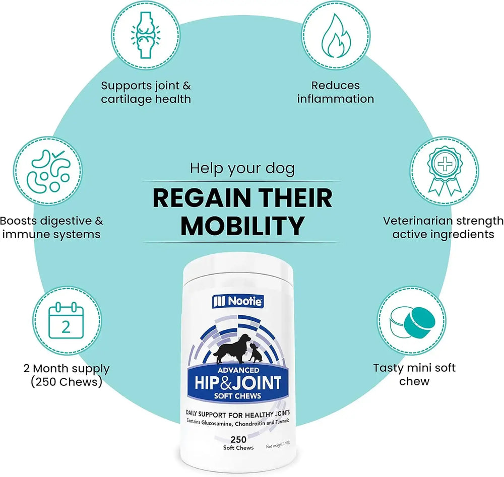 NOOTIE - Nootie Hip and Joint Soft Chews Supplement for Dogs 250 Masticables - The Red Vitamin MX - Cuidado De Cadera Y Articulaciones Para Perros - {{ shop.shopifyCountryName }}