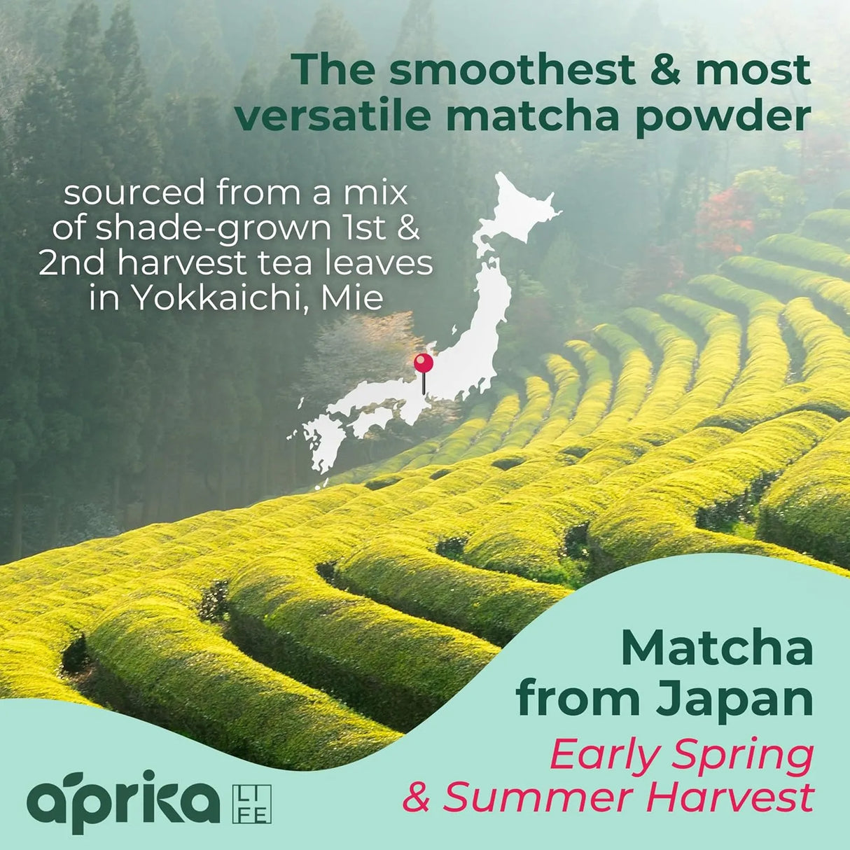 APRIKALIFE - AprikaLife Organic Matcha Powder 100Gr. - The Red Vitamin MX - Suplementos Alimenticios - {{ shop.shopifyCountryName }}