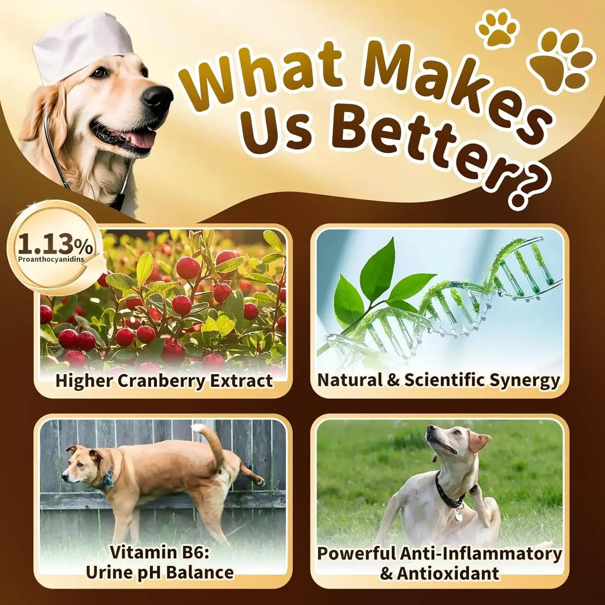 POPPAW - POPPAW Dog UTI Treatment & Urinary Tract Support Bacon Flavor 2 Fl.Oz. 2 Pack - The Red Vitamin MX - Salud De Tracto Urinario Para Perros - {{ shop.shopifyCountryName }}