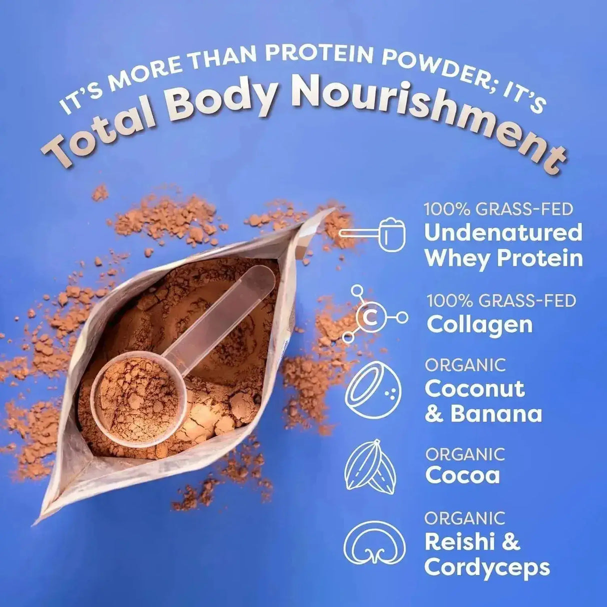 FLAVCITY - FlavCity Protein Powder Smoothie Grass-Fed Chocolate 1146Gr. - The Red Vitamin MX - Suplementos Alimenticios - {{ shop.shopifyCountryName }}