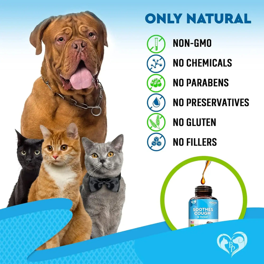 BELOVED PETS - Beloved Pets Kennel Cough Treatment & Natural Infection Medicine for Dogs & Cats 2 Fl.Oz. - The Red Vitamin MX - Medicamentos Sin Receta Para Perros - {{ shop.shopifyCountryName }}