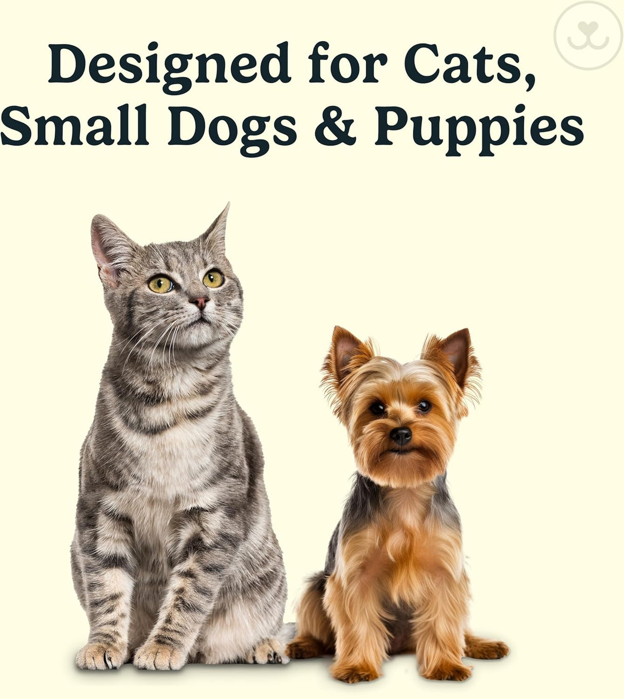 Jasper Microbrush Cat Toothbrush Soft-Bristled Toothbrush Kit