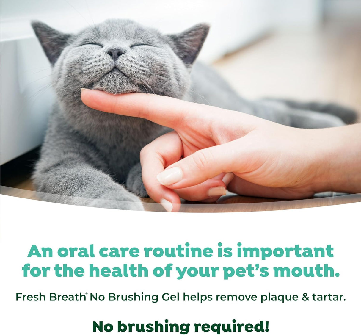 TropiClean Fresh Breath Cat Toothpaste for Teeth Cleaning 59Ml.