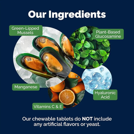 YUMOVE - YuMOVE Hip and Joint Supplement for Senior Dogs 240 Tabletas - The Red Vitamin MX - Cuidado De Cadera Y Articulaciones Para Perros - {{ shop.shopifyCountryName }}