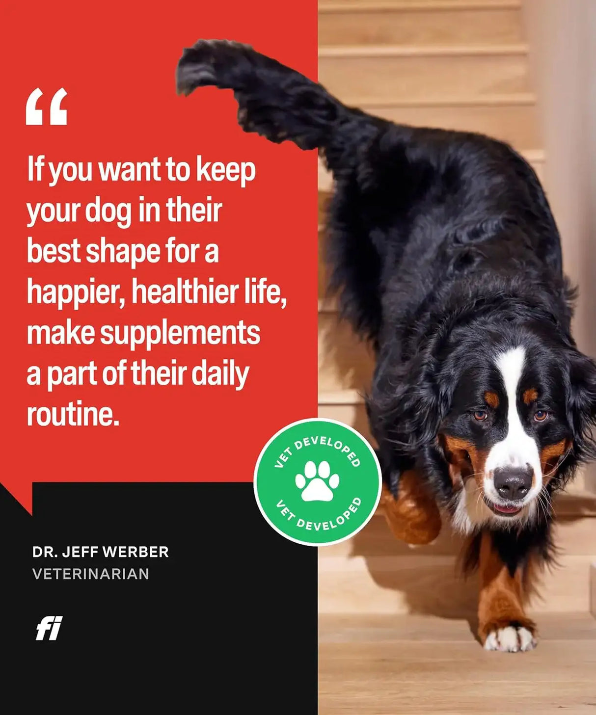 FI - Fi Hip & Joint Supplement for Dogs Powder Joint Support 90 Servicios 180Gr. - The Red Vitamin MX - Cuidado De Cadera Y Articulaciones Para Perros - {{ shop.shopifyCountryName }}