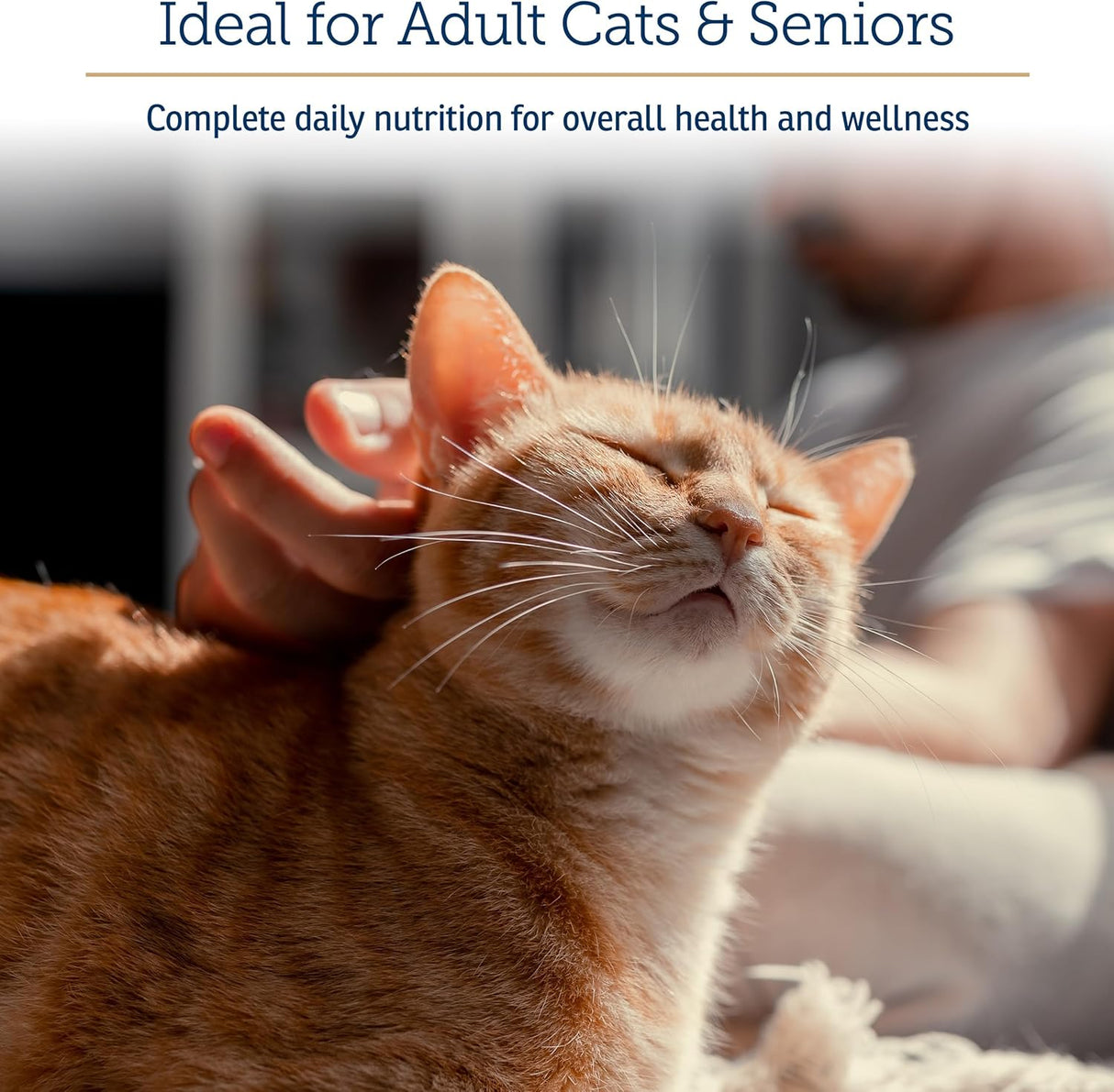 Rx Vitamins Essentials for Cats Powder 113Gr.