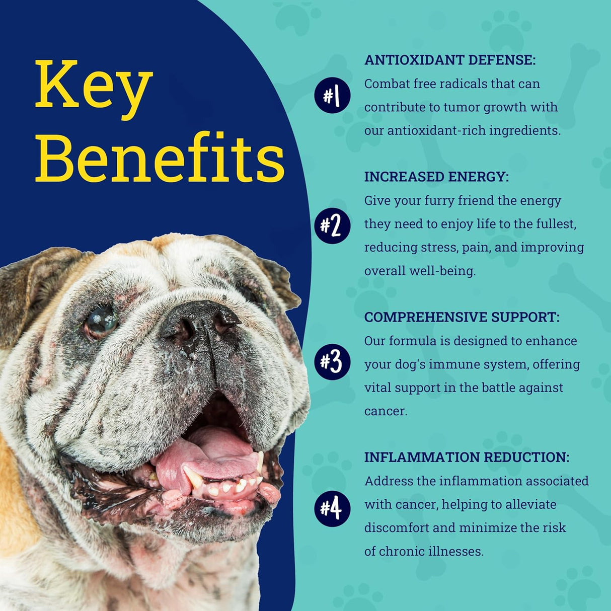 PetHeal Immune Guard Advanced Support for Dogs with Cancer 55 Masticables