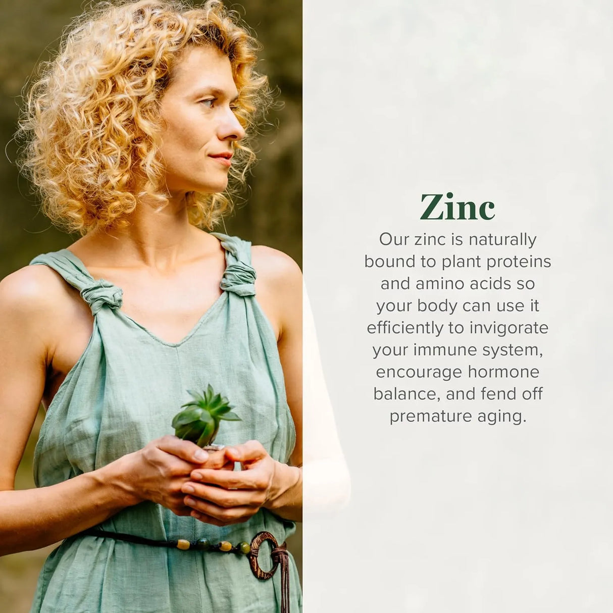 GLOBAL HEALING CENTER - Global Healing Organic Zinc 2 Fl.Oz. - The Red Vitamin MX - Suplementos Alimenticios - {{ shop.shopifyCountryName }}