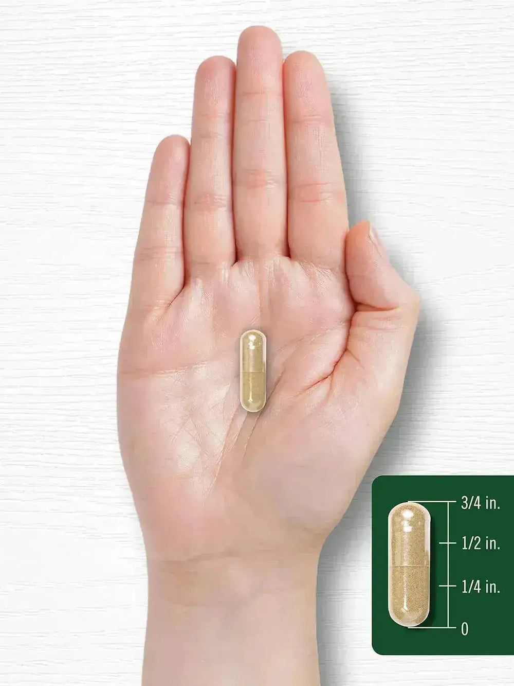 CARLYLE - Carlyle Holy Basil 1600Mg. 200 Capsulas - The Red Vitamin MX - Suplementos Alimenticios - {{ shop.shopifyCountryName }}