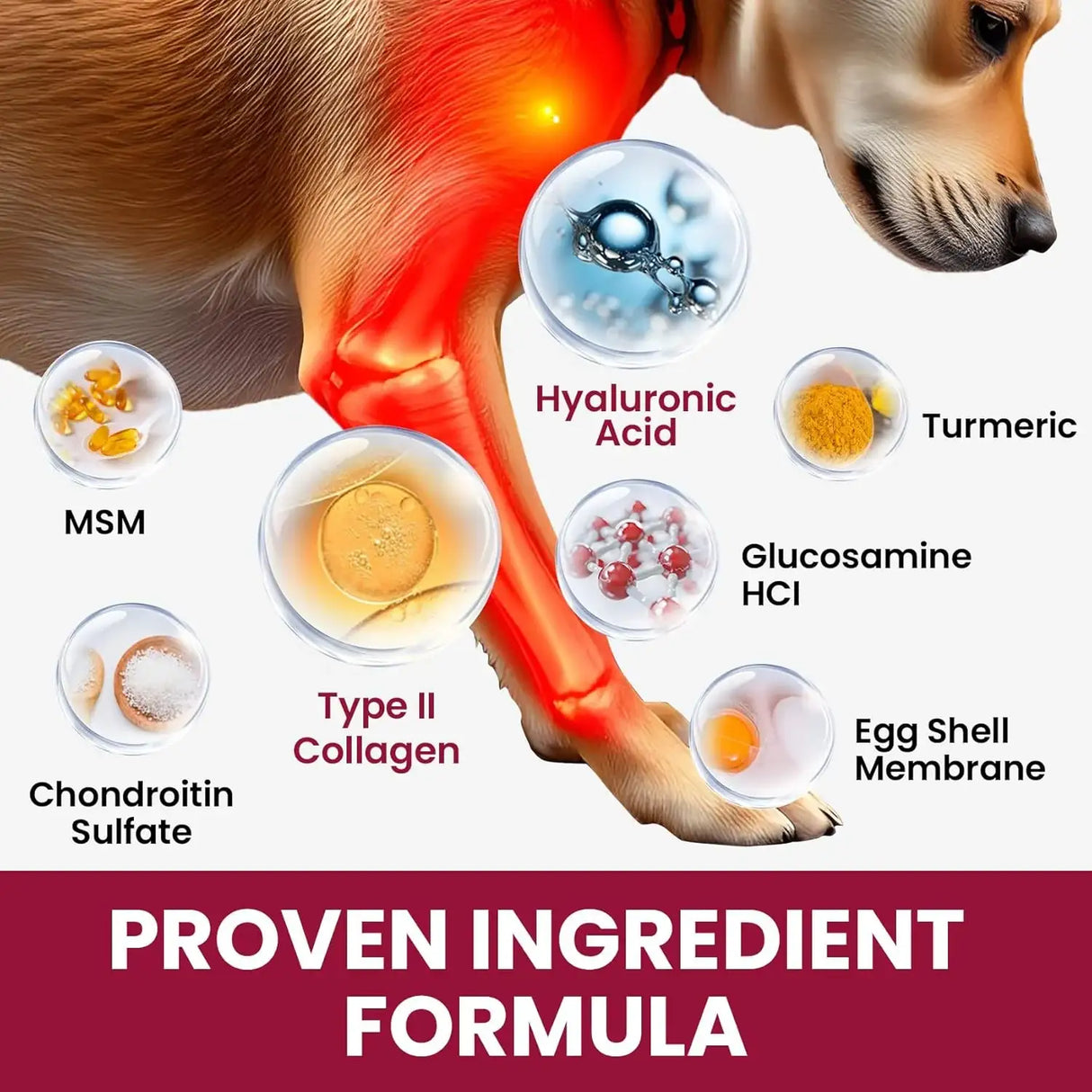 BUDDYCHEER - BuddyCheer Glucosamine for Dogs Hip and Joint Supplement Chews 180 Masticables - The Red Vitamin MX - Cuidado De Cadera Y Articulaciones Para Perros - {{ shop.shopifyCountryName }}