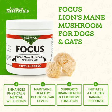 ANIMAL ESSENTIALS - Animal Essentials Focus Lions Mane Mushroom Supplement for Dogs 50Gr. - The Red Vitamin MX - Suplementos Herbales Para Perros - {{ shop.shopifyCountryName }}